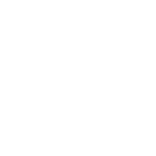 Customer Service Excellence Award