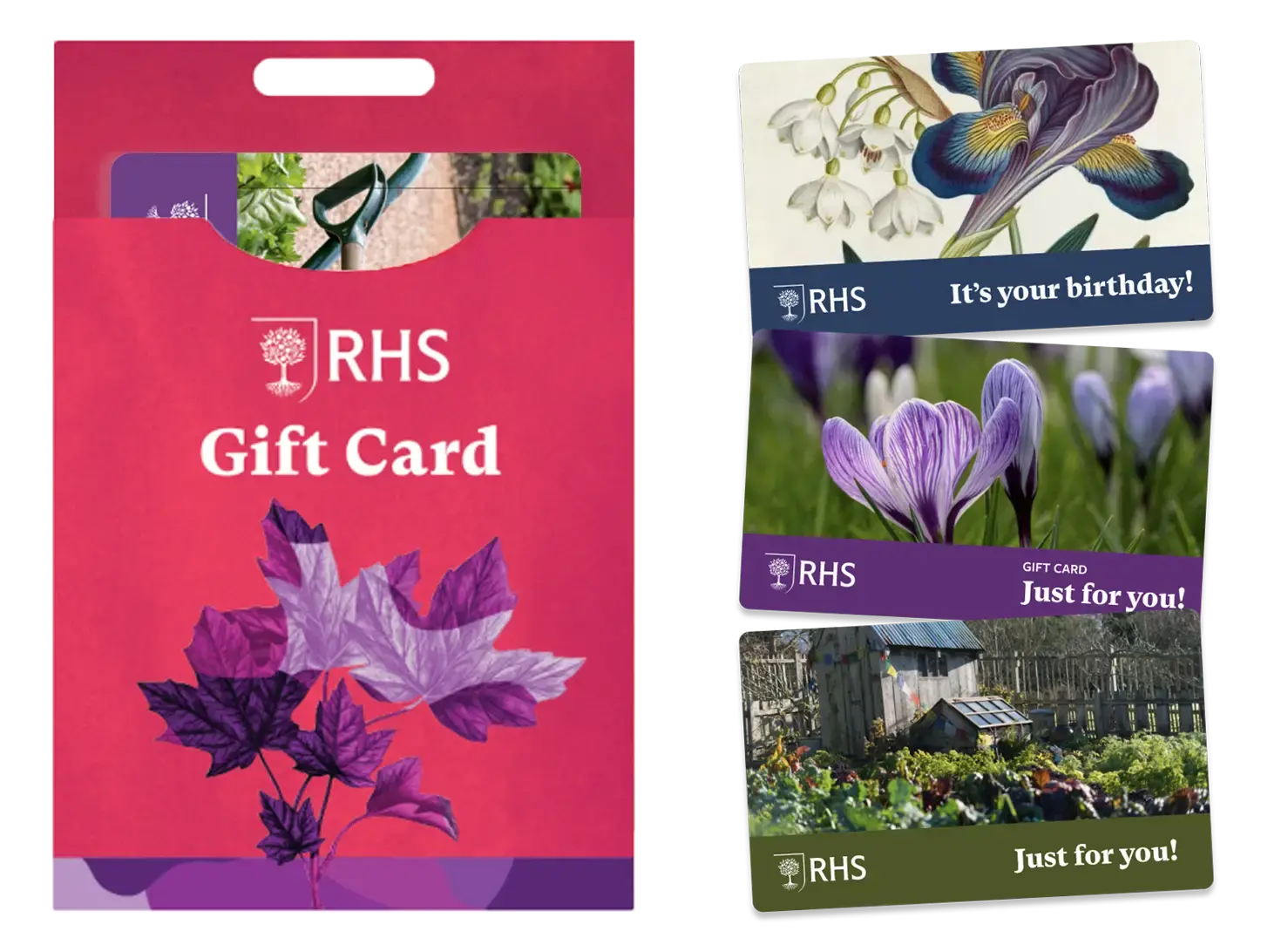 Gift-Card-Display-mobilex2 copy