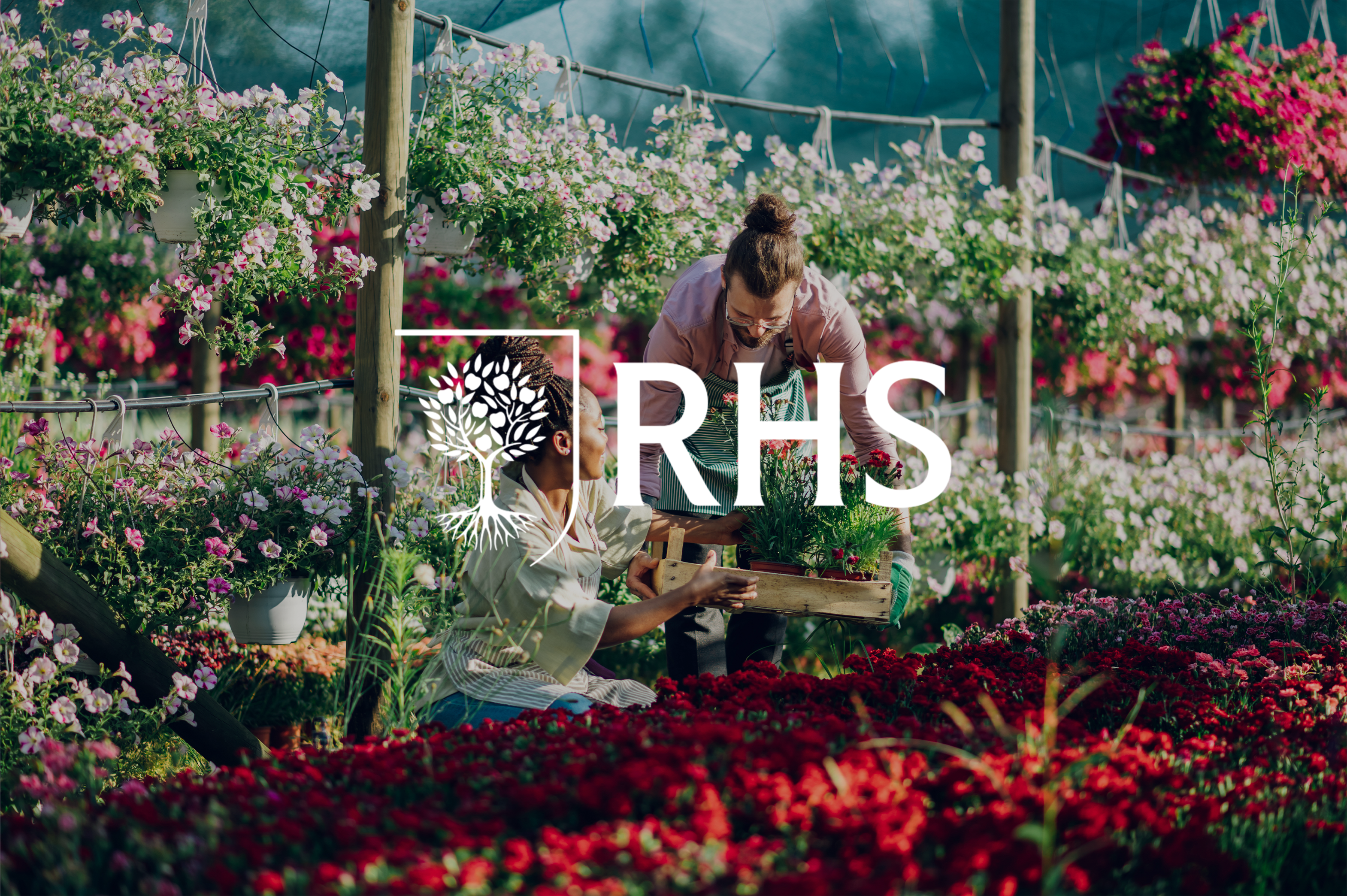 RHS Customer Story